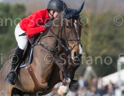 De Simone Teddy TosTour 2013- S5 7703 : Arezzo Equestrian Centre, De Simone Rossella, Teddy, Toscana Tour 2013, foto di Stefano Secchi ©